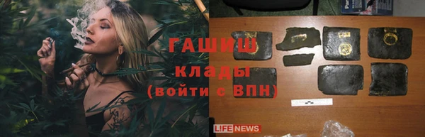 стаф Киренск