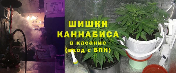 стаф Киренск