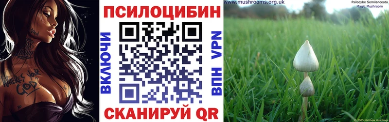 Псилоцибиновые грибы GOLDEN TEACHER  Красногорск 